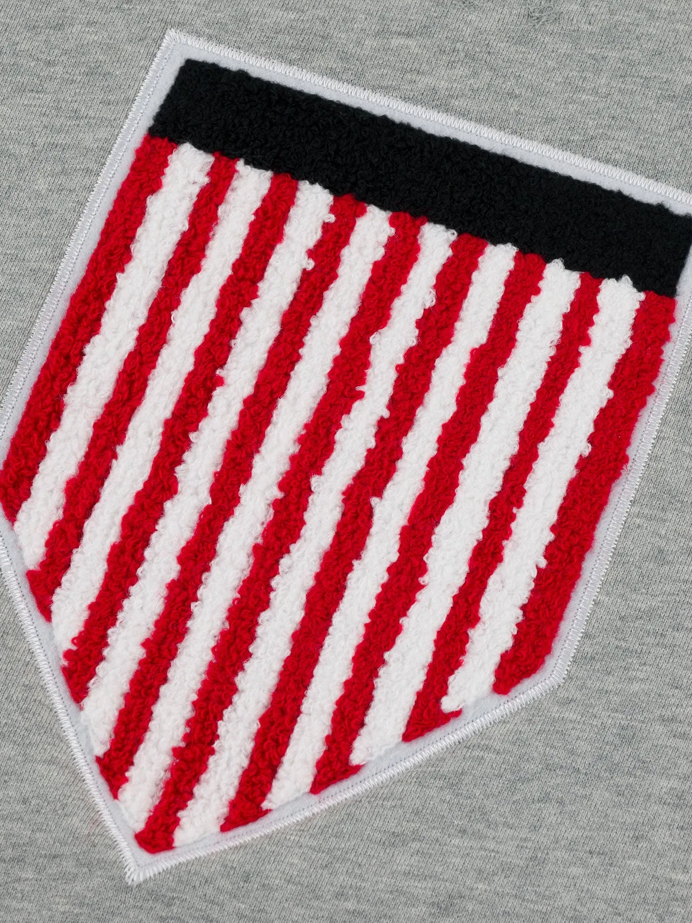 Classic Ft Shield Logo Crewneck Sweatshirt
