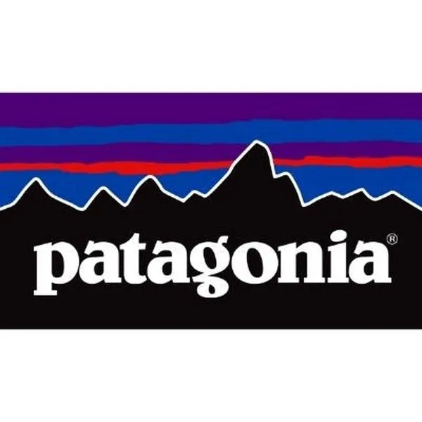 Patagonia Womens Retro Pile Hoody